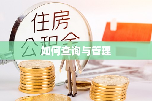 华安如何查询与管理