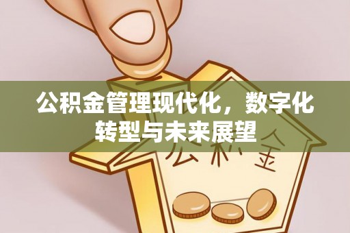 华安公积金管理现代化，数字化转型与未来展望