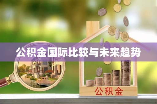 华安公积金国际比较与未来趋势