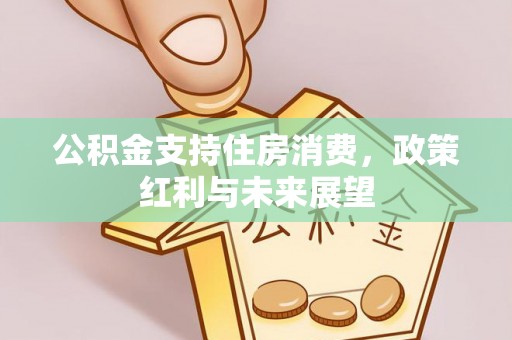 华安公积金支持住房消费，政策红利与未来展望