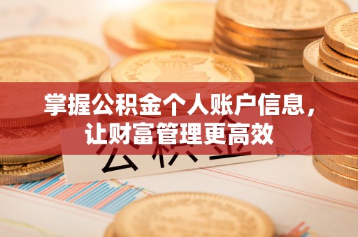 华安掌握公积金个人账户信息，让财富管理更高效