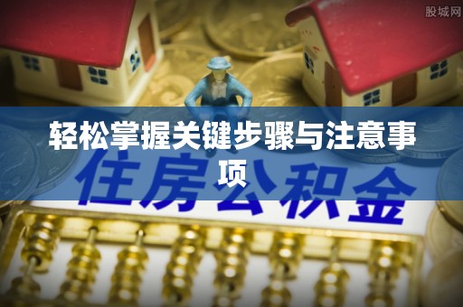 华安轻松掌握关键步骤与注意事项