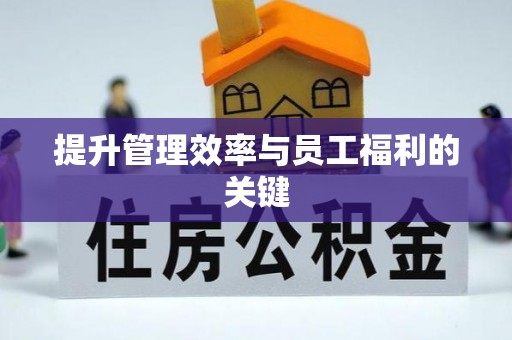 华安提升管理效率与员工福利的关键