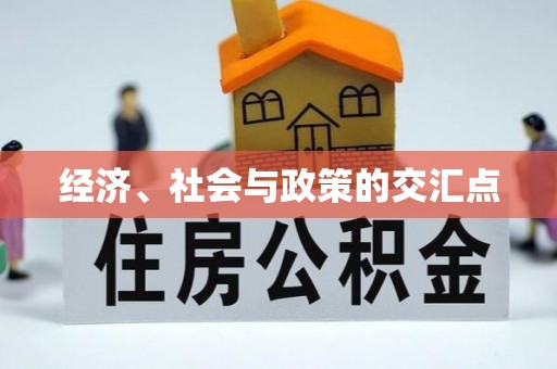 华安经济、社会与政策的交汇点