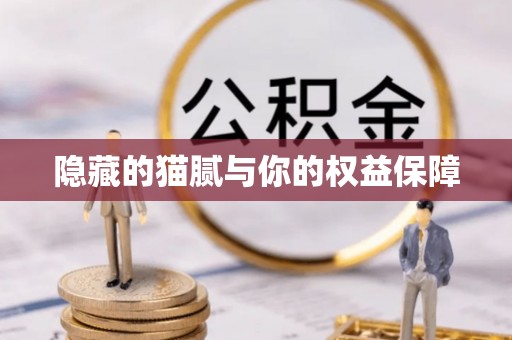 华安隐藏的猫腻与你的权益保障