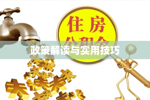 华安政策解读与实用技巧