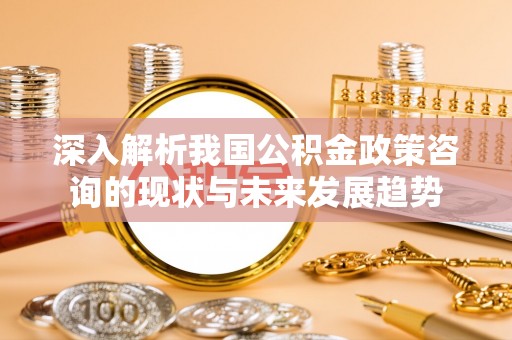 华安深入解析我国公积金政策咨询的现状与未来发展趋势