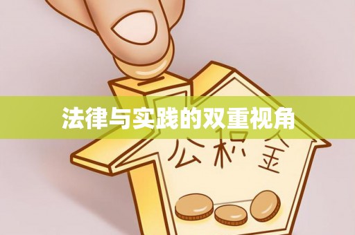 华安法律与实践的双重视角
