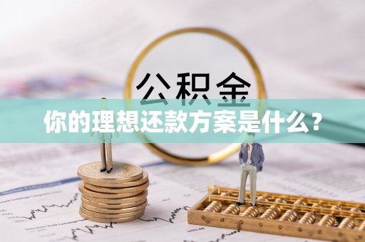 华安你的理想还款方案是什么？