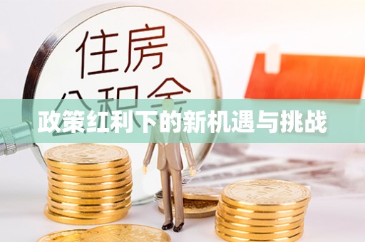 华安政策红利下的新机遇与挑战