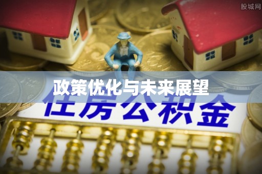 华安政策优化与未来展望