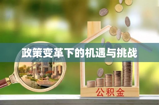 华安政策变革下的机遇与挑战