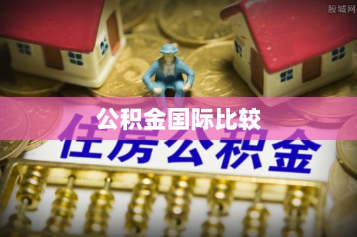 华安公积金国际比较