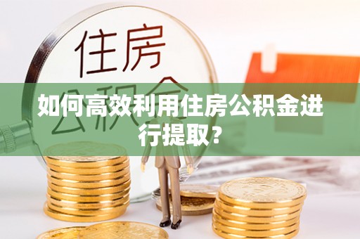 华安如何高效利用住房公积金进行提取？