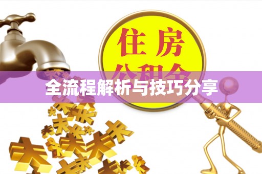 华安全流程解析与技巧分享