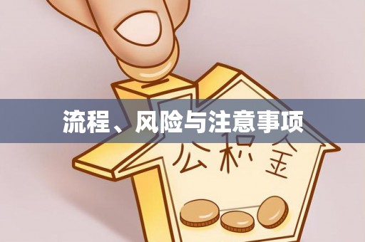 华安流程、风险与注意事项
